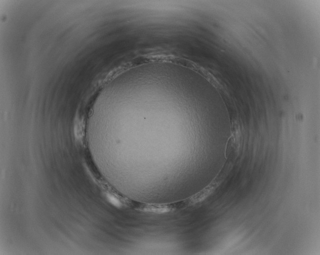 X0000083640767200703051700