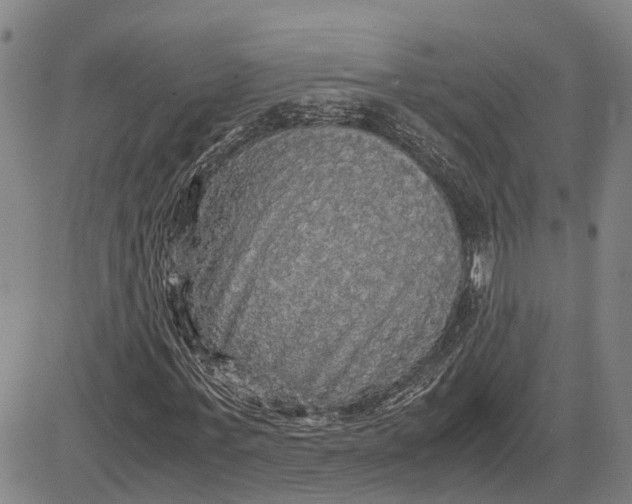 X0000083640771200703051700