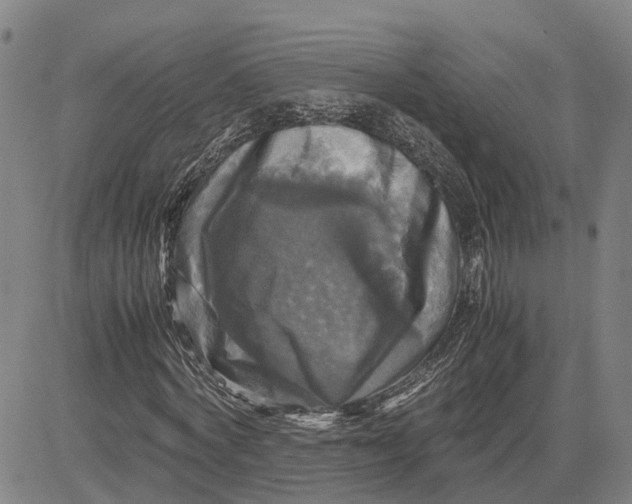 X0000083640772200703051700