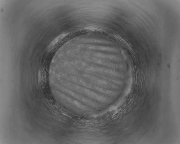 X0000083640776200703051700
