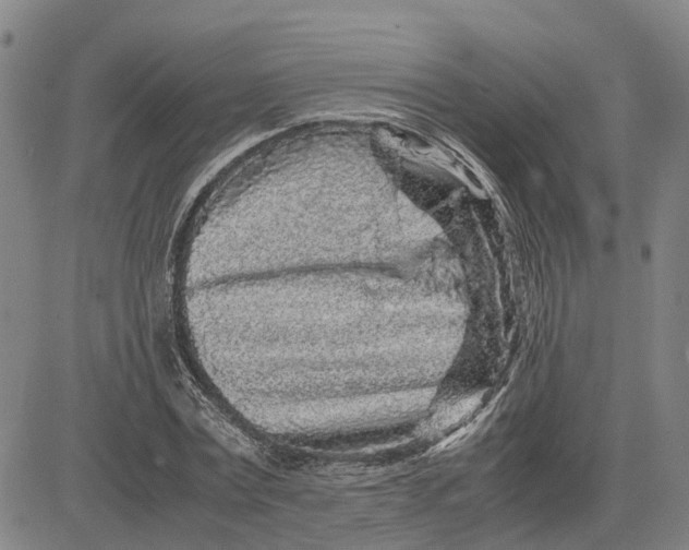 X0000083640779200703051659
