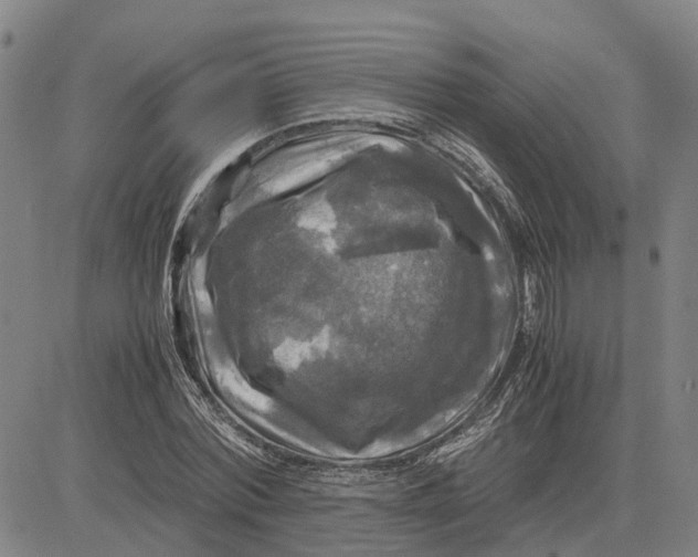 X0000083640780200703051659