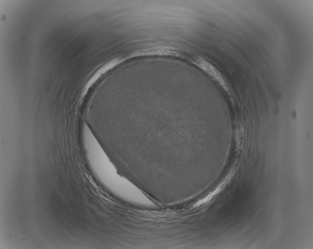 X0000083640781200703051659