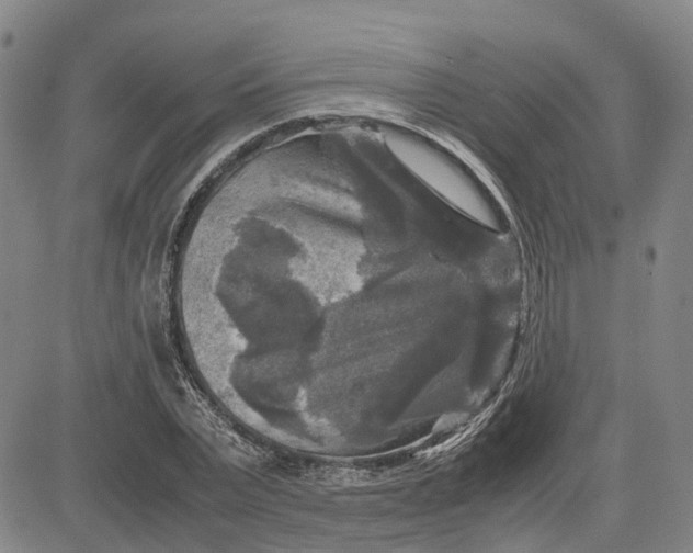 X0000083640783200703051659