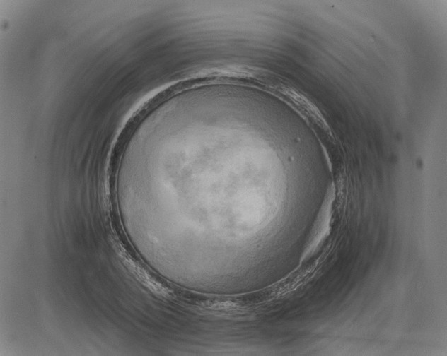 X0000083640784200703051659