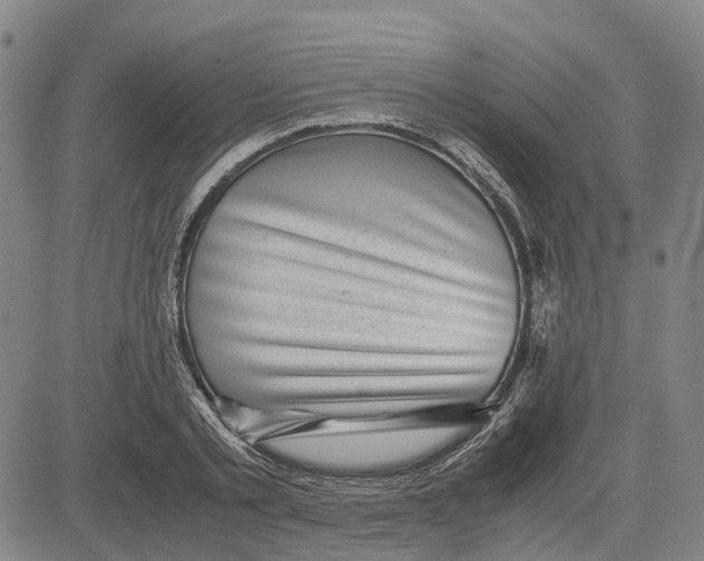 X0000083640789200703051659