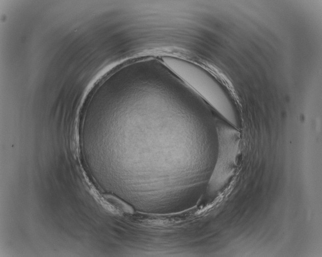 X0000083640792200703051659