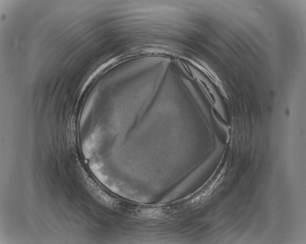 X0000083640798200703051659
