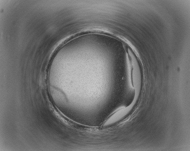 X0000083640799200703051659