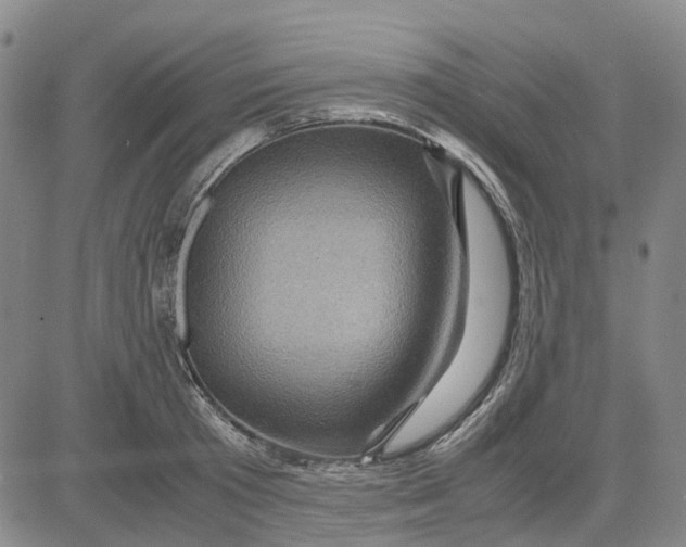 X0000083640801200703051659