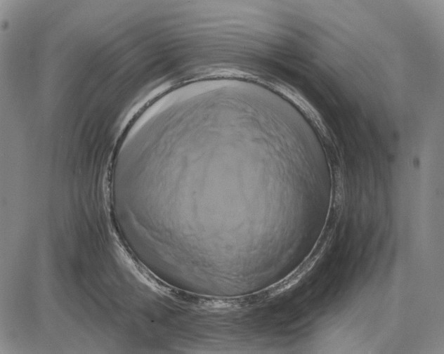 X0000083640806200703051659