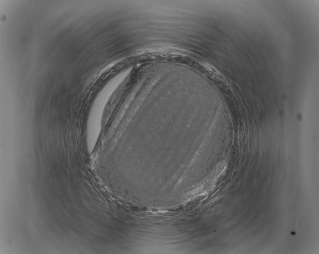 X0000083640822200703051658