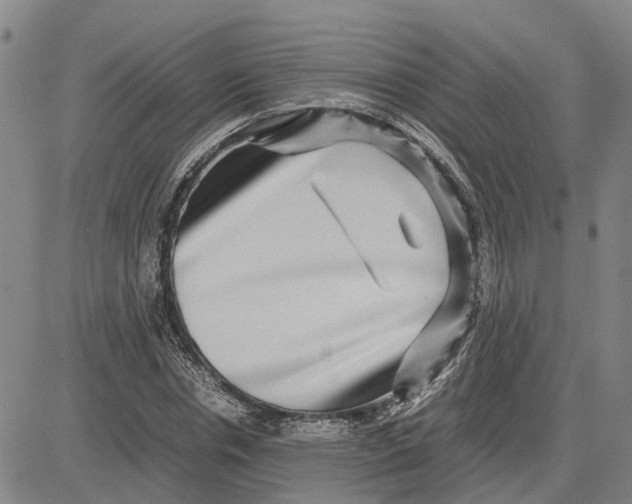 X0000083640826200703051658