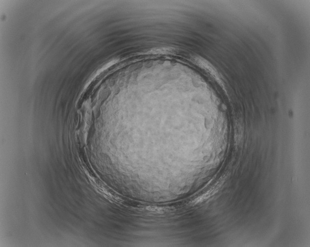 X0000083640827200703051658