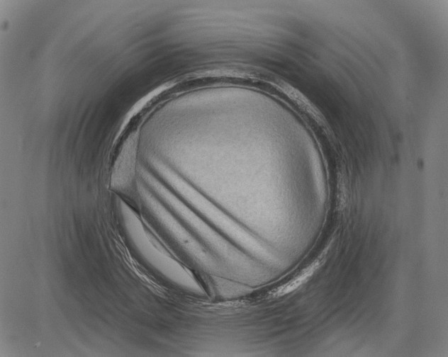 X0000083640830200703051658