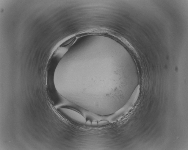 X0000083640838200703051658