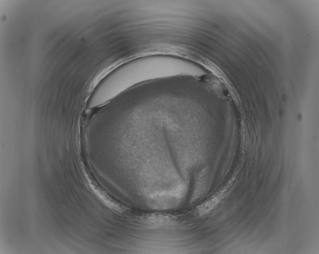 X0000083640842200703051658