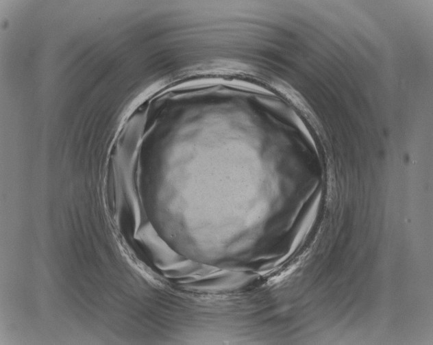 X0000083640850200703051659