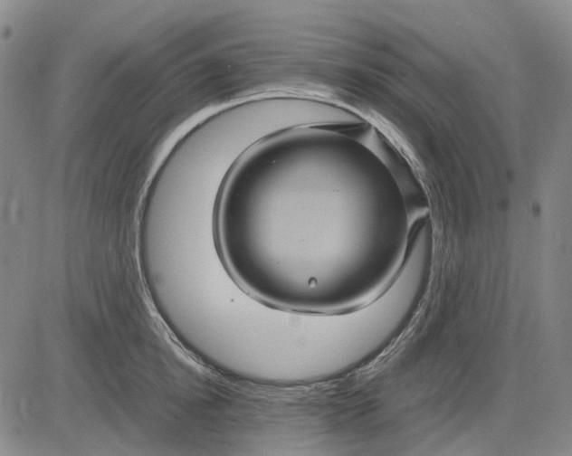 X0000083640854200703051659