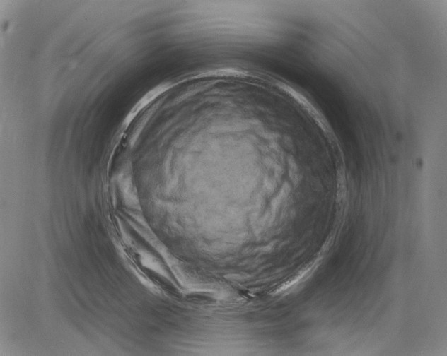 X0000083640858200703051659