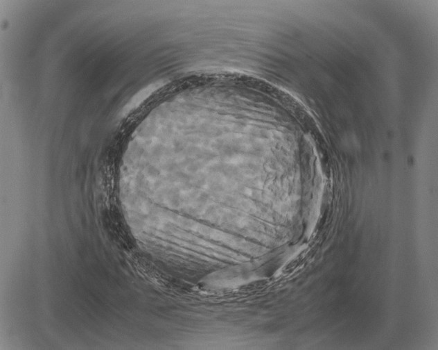 X0000083640871200703051658