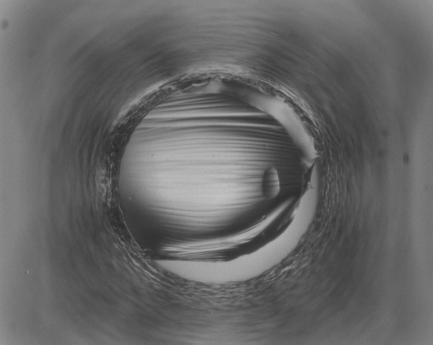 X0000083640872200703051658