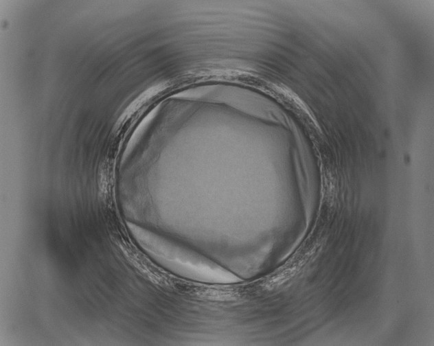 X0000083640874200703051658