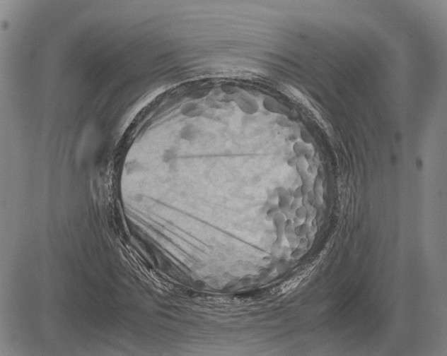 X0000083640875200703051658