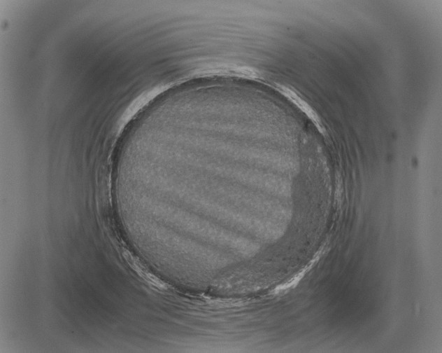 X0000083640877200703051658
