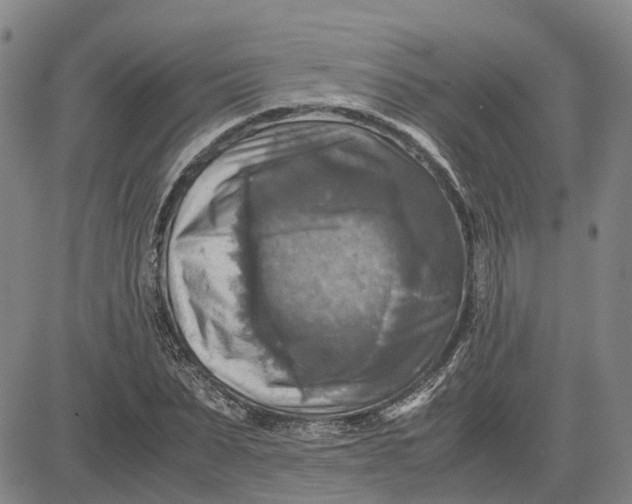 X0000083640879200703051658