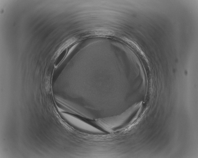 X0000083640889200703051658