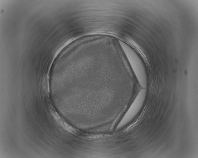 X0000083640892200703051658