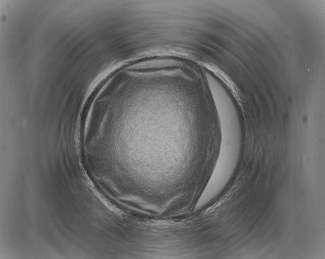 X0000083640894200703051658