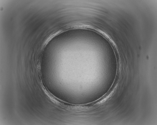X0000083640897200703051658