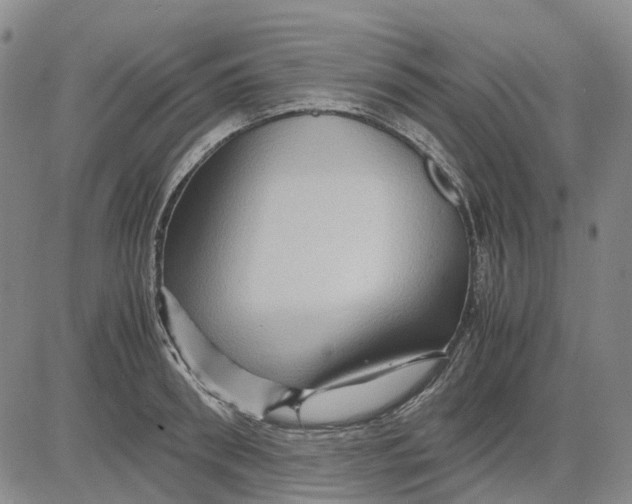 X0000083640898200703051657