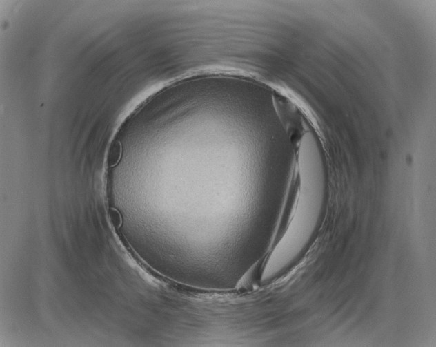 X0000083640902200703051657