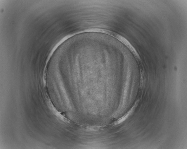 X0000083640908200703051657
