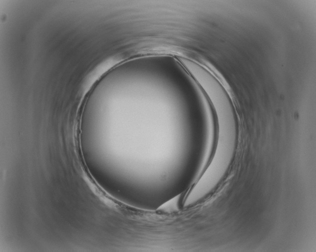 X0000083640909200703051657