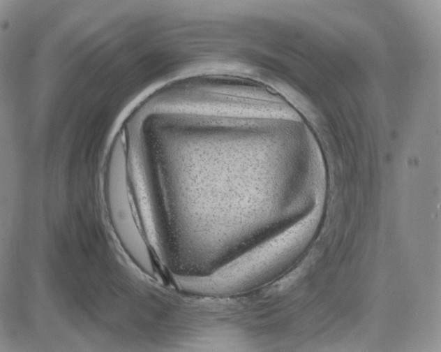 X0000083640912200703051657