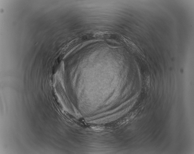 X0000083640914200703051656