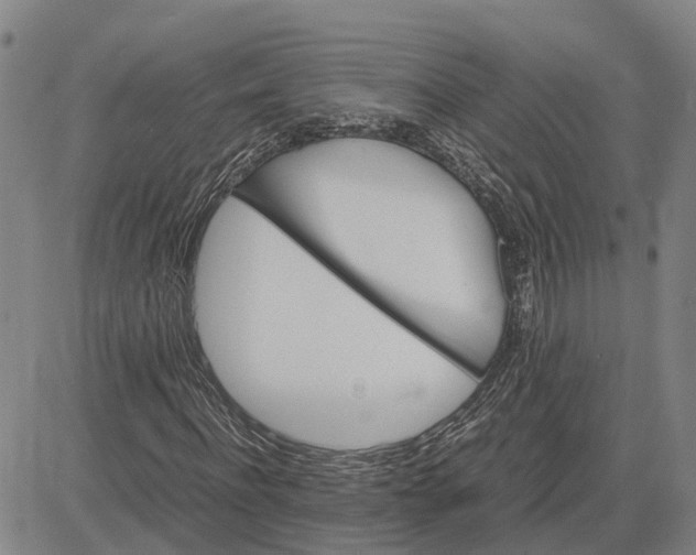 X0000083640916200703051657