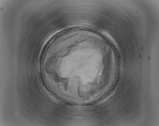 X0000083640924200703051657