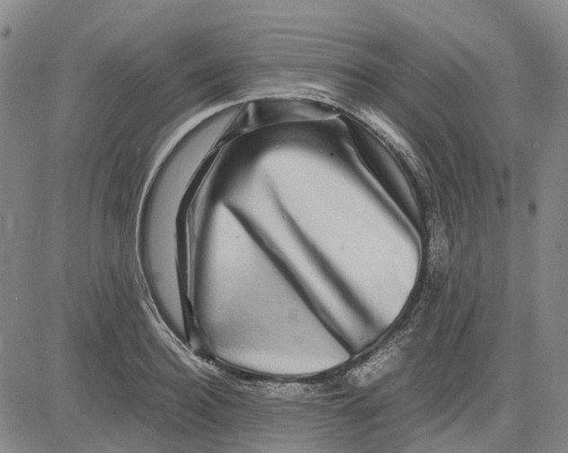 X0000083640940200703051657