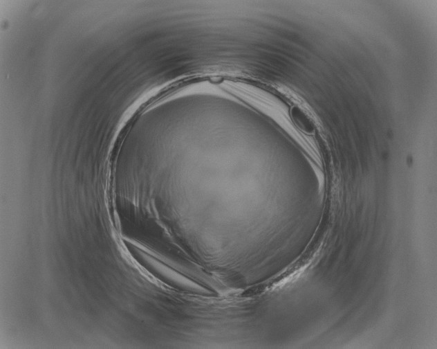 X0000083640941200703051657