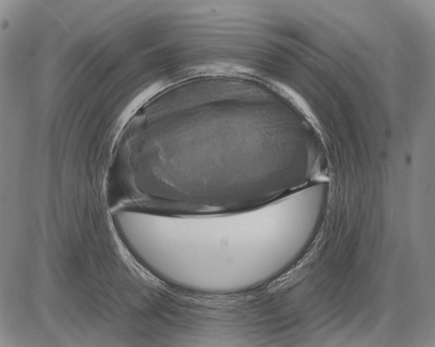 X0000083640946200703051657