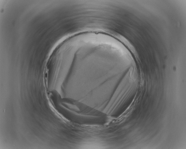 X0000083640958200703051657