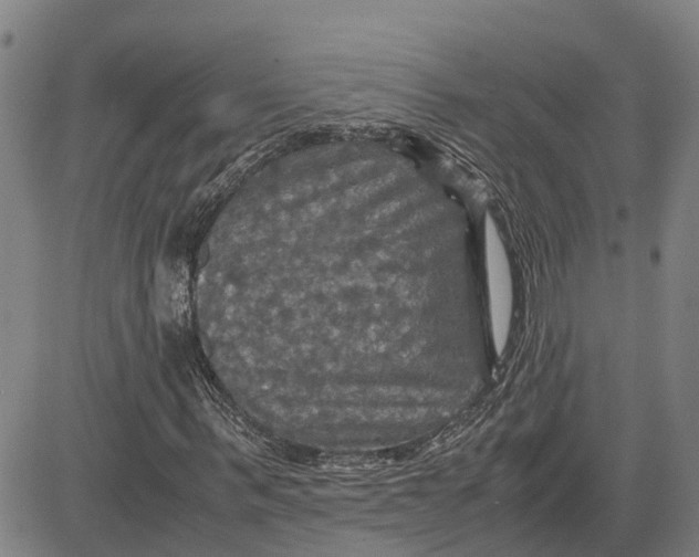 X0000083640963200703051656