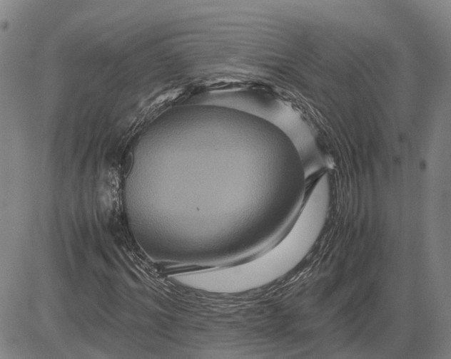 X0000083640964200703051656