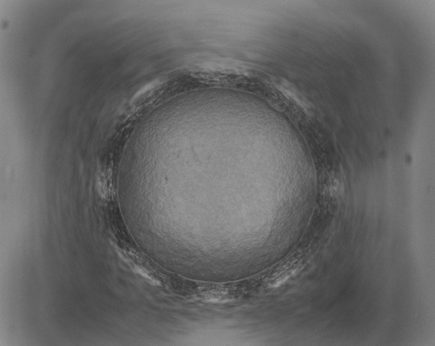X0000083640965200703051656