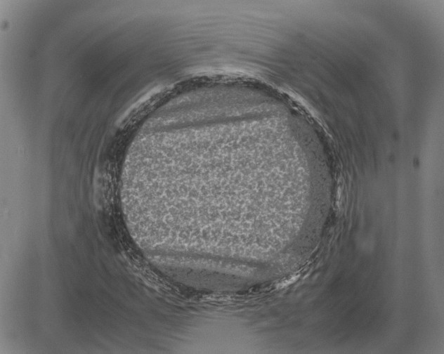 X0000083640967200703051656
